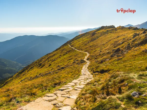 3. Rappelling and Rock Climbing: