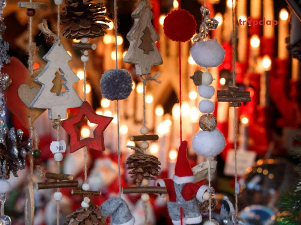 10. Miscellaneous Items 