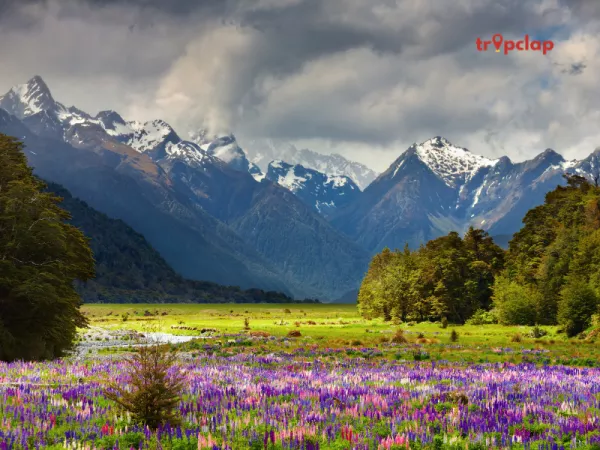 Betaab Valley: