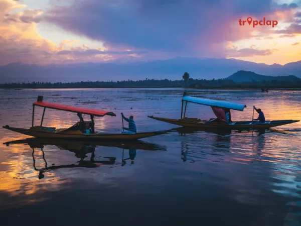 Shikara Ride on Dal Lake: