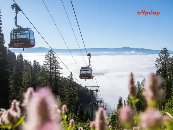 Gondola Ride in Gulmarg: