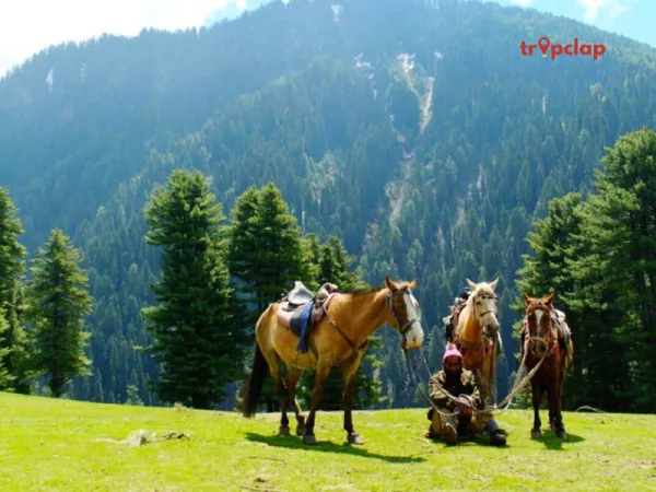 River-side Picnic and ponny in Pahalgam