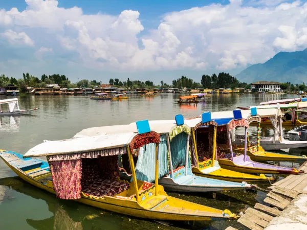 3.2 Shikara Festival