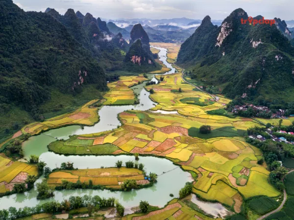 10. Vietnam 