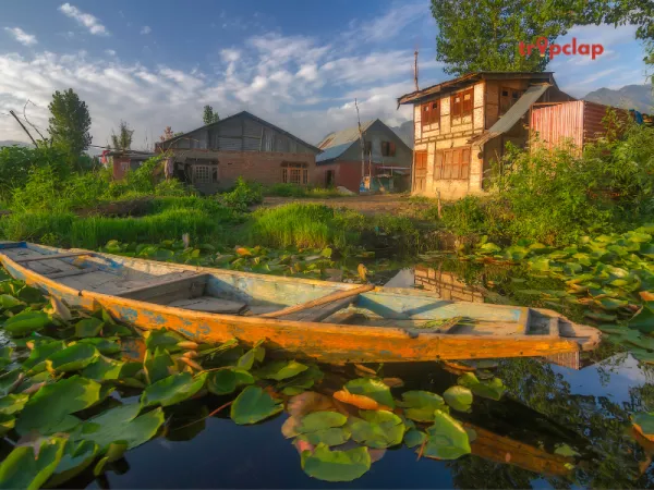 Things to do in Manasbal Lake: