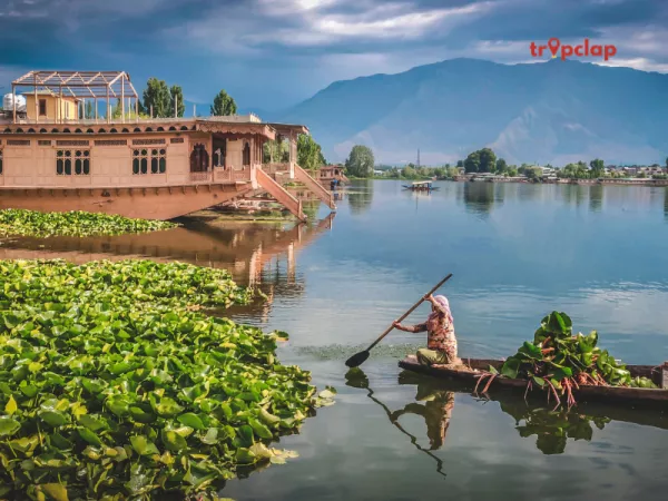 Places to be covered in a solo travel in Kashmir: 
