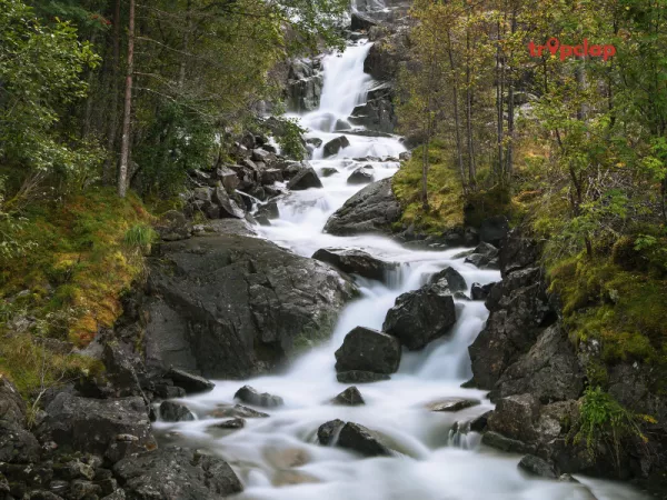 Day 5: Pahalgam to Doodhpatri and back