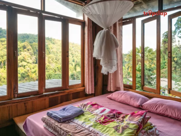 Where to stay in a solo trip to Kashmir