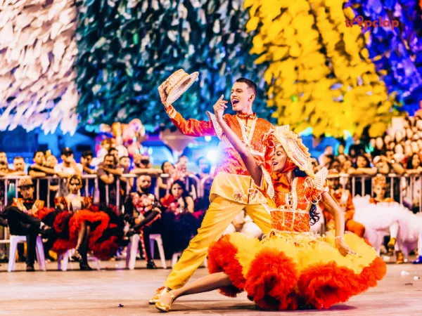 Cultural Performances