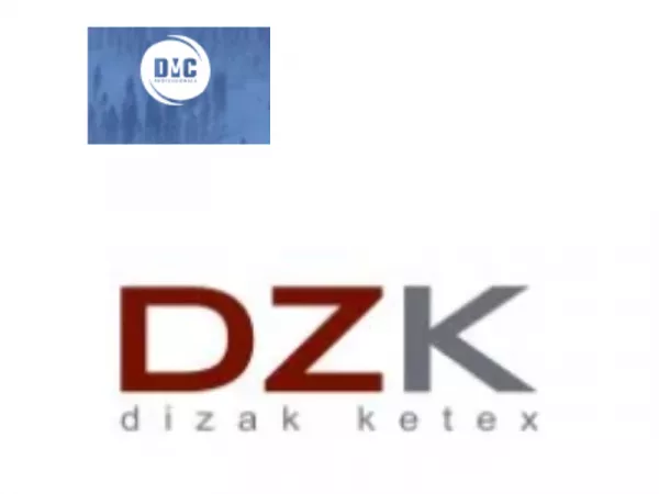 2. DZK DMC Czech Republic