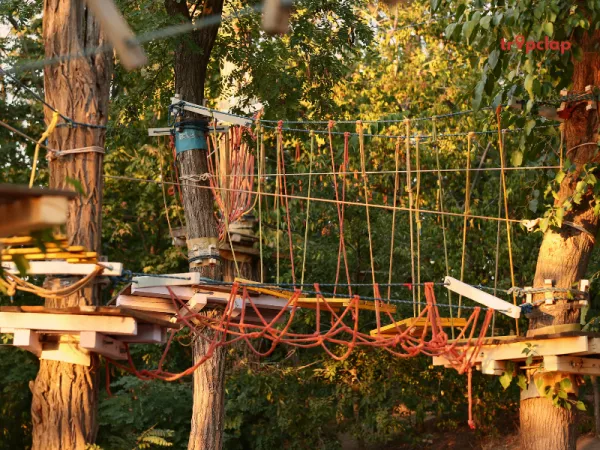 10. Adventure Activities at Xthrill Adventure Academy