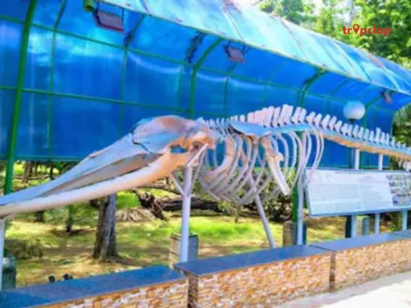 3. Marine Aquarium and Regional Centre