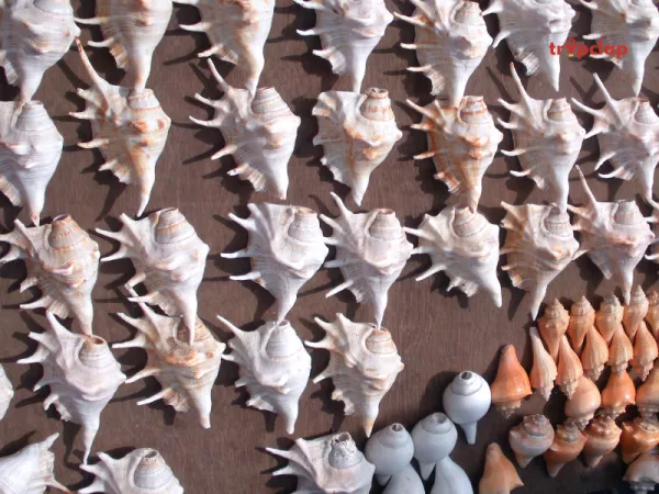 8. Shopping and Souvenirs