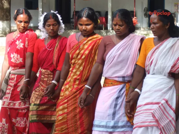 4. Explore Cultural Programs 