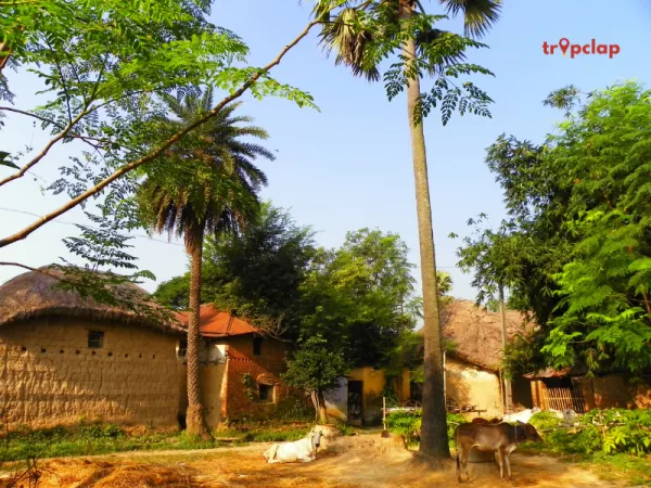 7. Explore Near by area