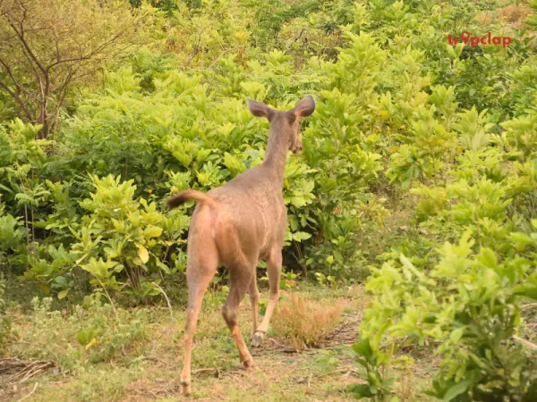 10. Namdapha National Park