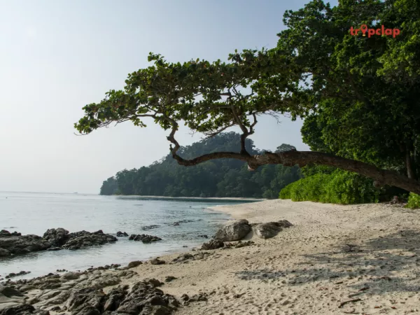 1. Havelock Island 