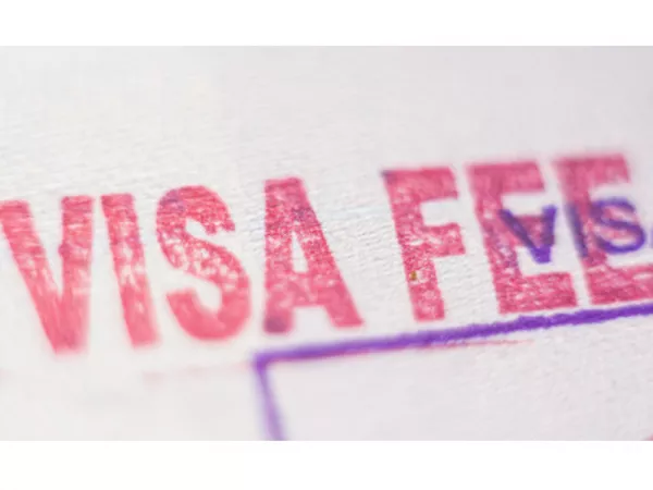 Step 4: Pay the Visa Fee