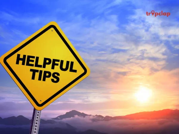 Important Tips and Considerations