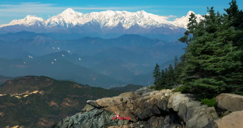 4. Binsar: A Nature Lover's Paradise