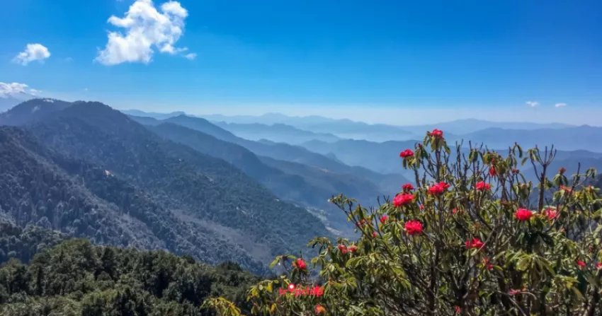 5. Mandal: The Digital Detox Destination