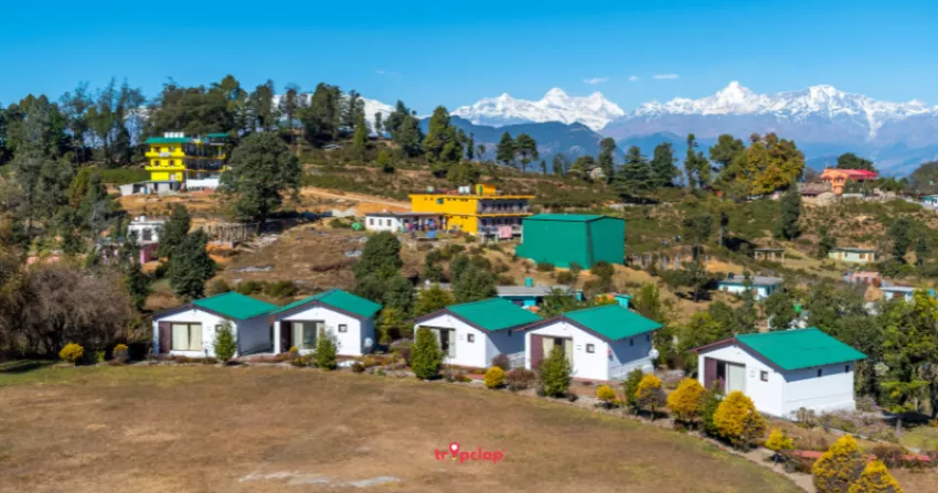 6. Chaukori: Aromatic and Scenic