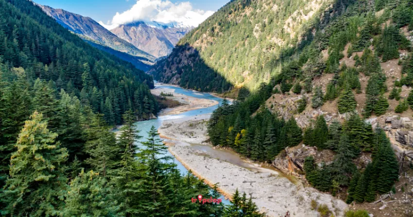 7. Harsil: Solitude Amidst the Himalayas