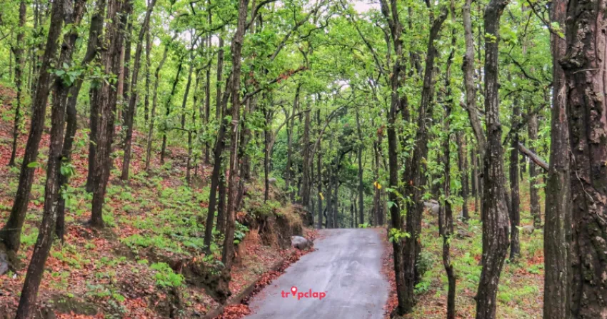 9. Ramgarh: The Fruit Bowl of Kumaon