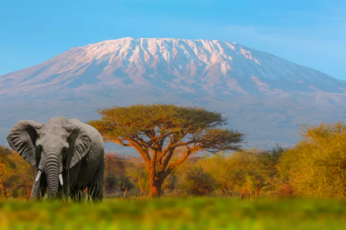 19. Kenya: Wildlife Adventures and Stunning Landscapes