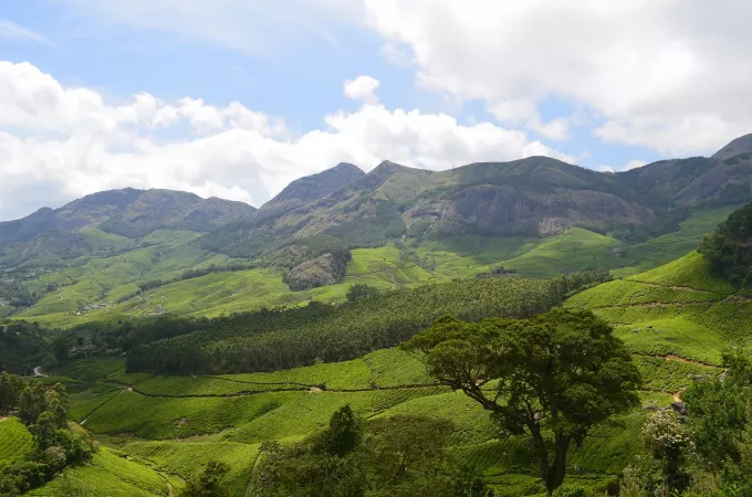 7. Munnar, Kerala