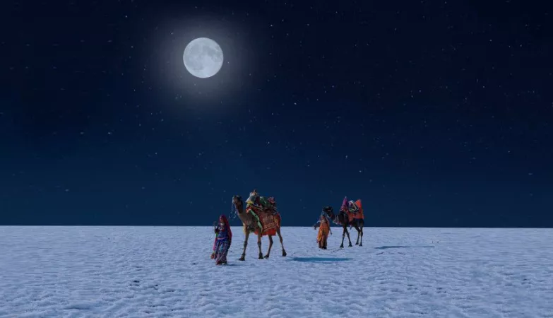 3. Rann of Kutch, Gujarat