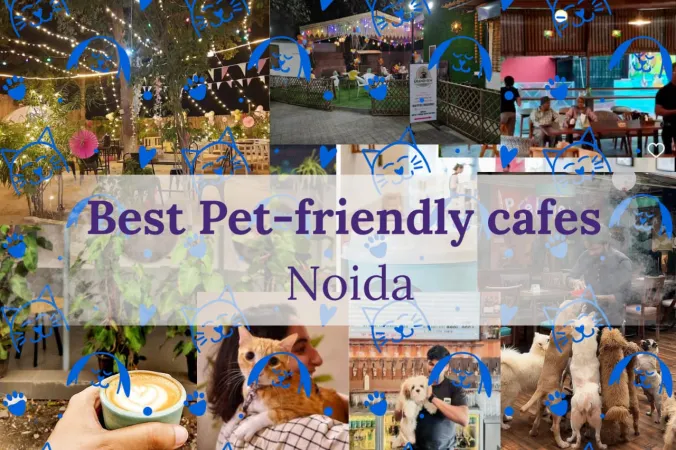 Best Pet-Friendly Cafes in Noida