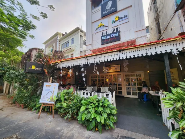 8. Wise Owl – The Coffee Shop