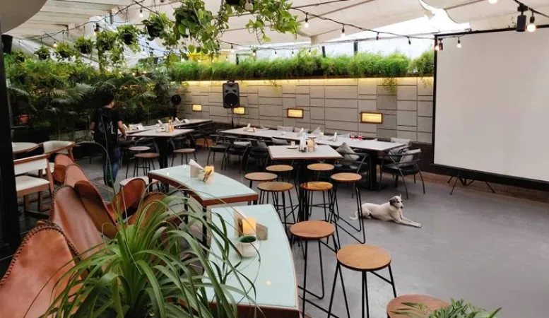 4. The Daily All Day, Pune