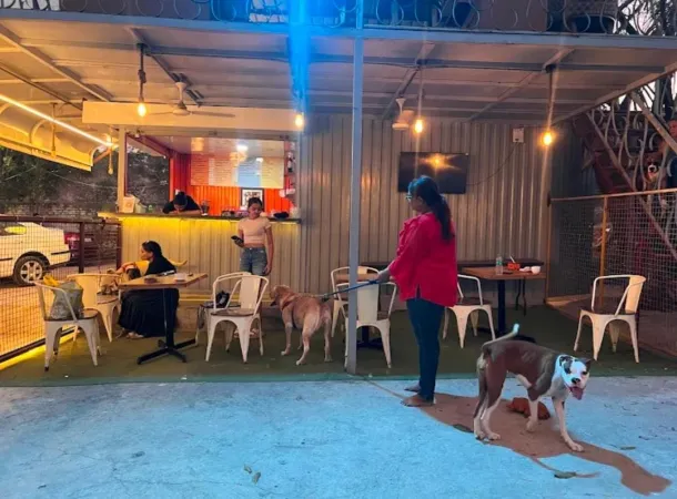 7. The Hangover Café