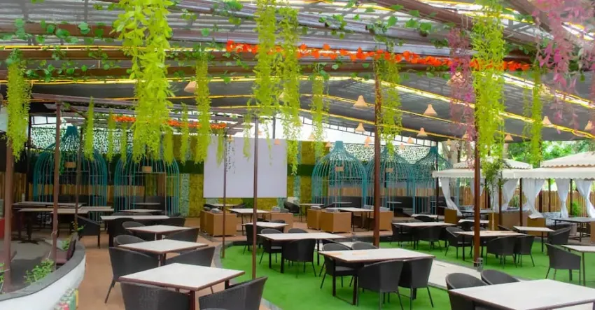 8. Plant Lounge & Cafe