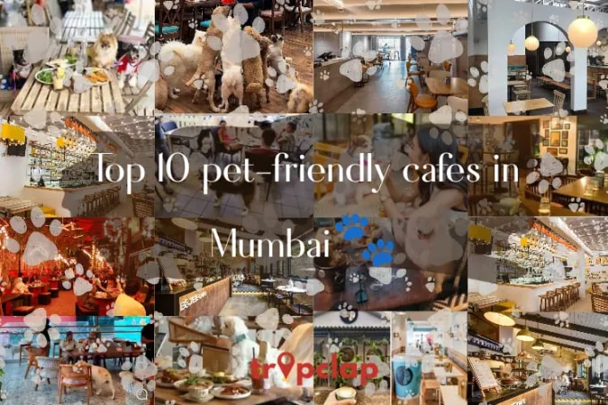 Top 10 Pet-Friendly Cafes in Mumbai