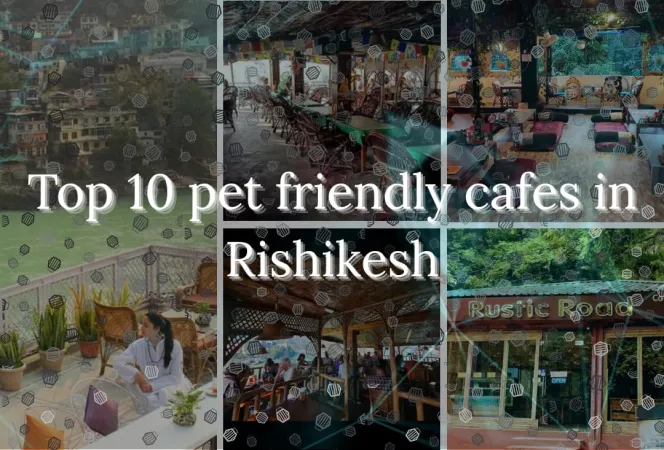 Top 10 pet friendly cafes in Rishikesh 