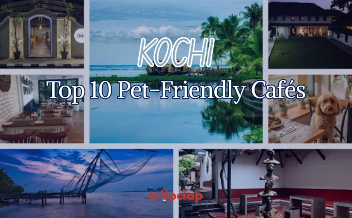 Top 10 Pet-Friendly Cafés in Kochi