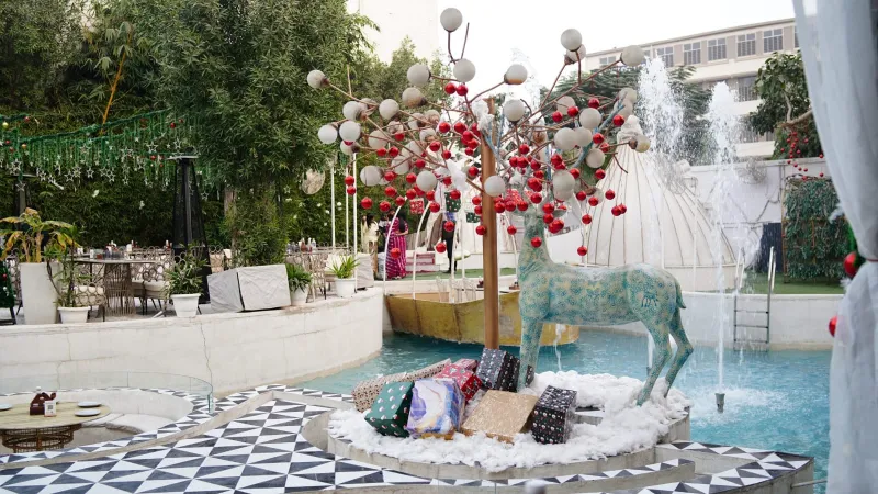 5. The Big Tree Café 