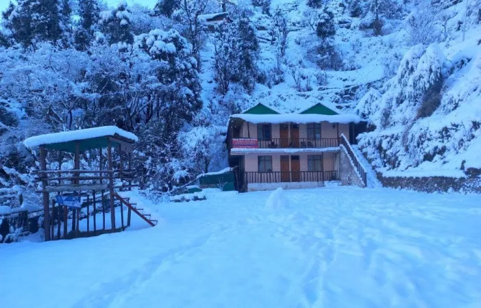 6. Snow Drop Home Shimla