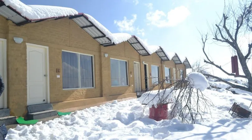 9. Nature Nest Eco Resort