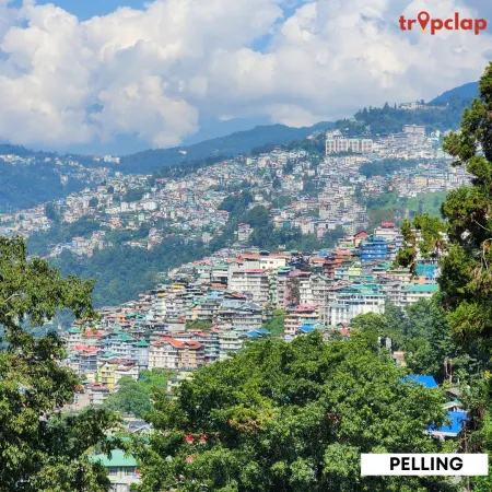 1.12 Pelling