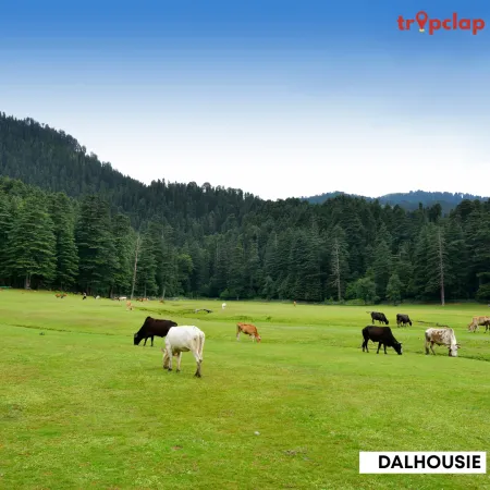 3.11 Dalhousie