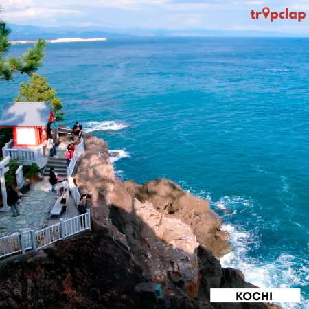 4.6 Kochi