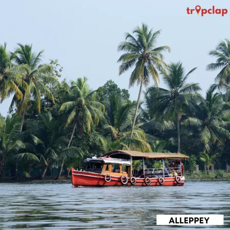 4.8 Alleppey