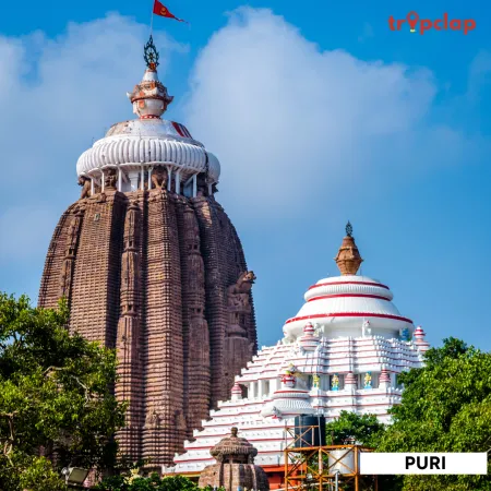 1.5 Puri