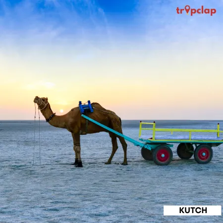 2.4 Kutch