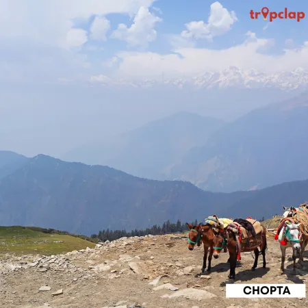 3.5 Chopta