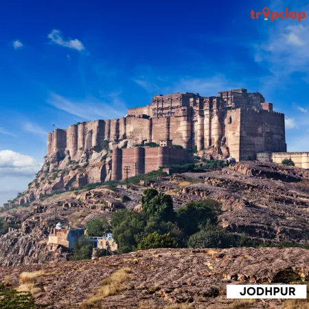 3.9 Jodhpur